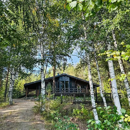 Saarilandia * Ronkonvaara