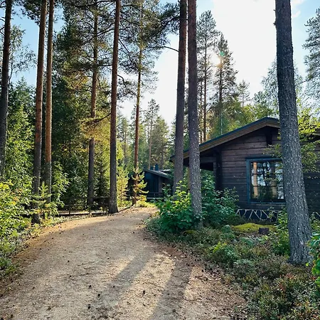 Saarilandia * Ronkonvaara