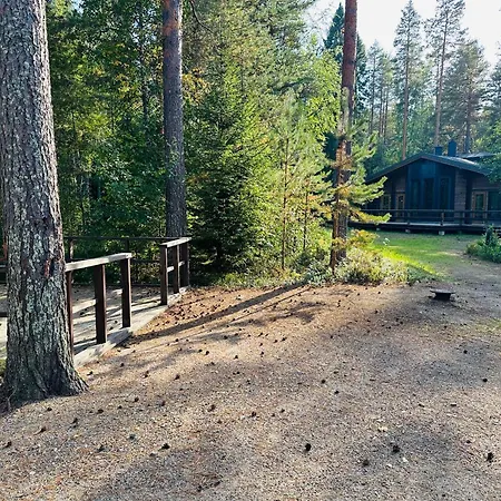 Saarilandia Ronkonvaara